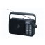 RADIO PORTATIL  RF-2400DEG-K